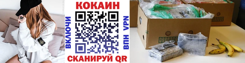 Купить закладки  Курчатов  COCAIN Fish Scale 