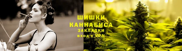 прущие грибы Волосово