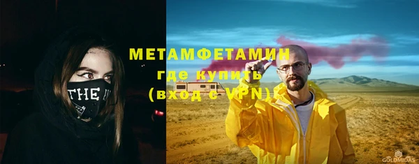 прущие грибы Волосово