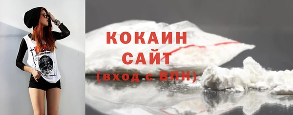 прущие грибы Волосово