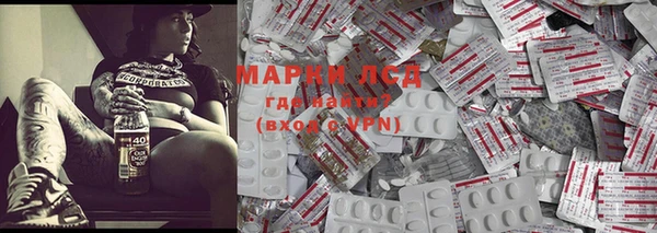 прущие грибы Волосово
