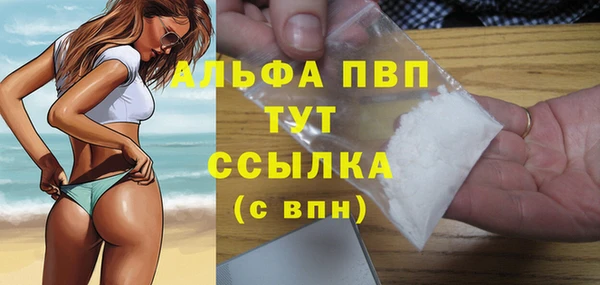 прущие грибы Волосово