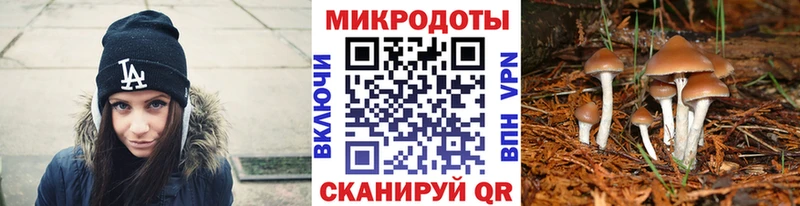 Галлюциногенные грибы GOLDEN TEACHER  Купить закладки  Курчатов 